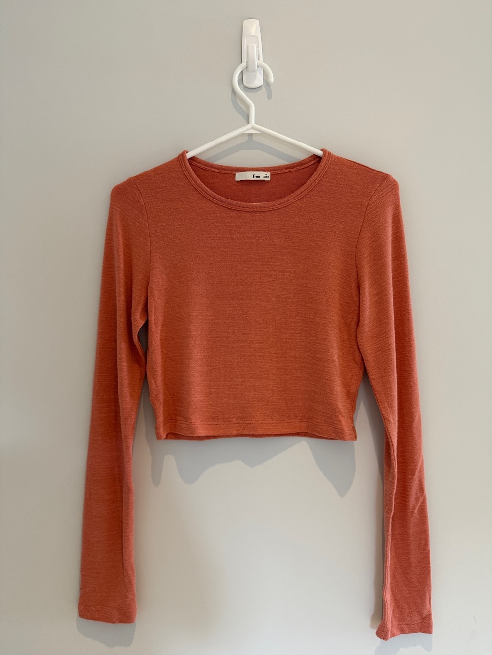 Wilfred Free Aritzia Cropped Long Sleeve Crewneck Top Terracotta Rose (M)
